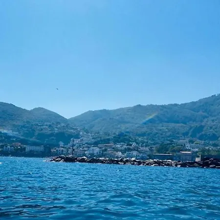 Marina Luxury *